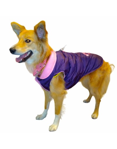 Chaleco para perra morado