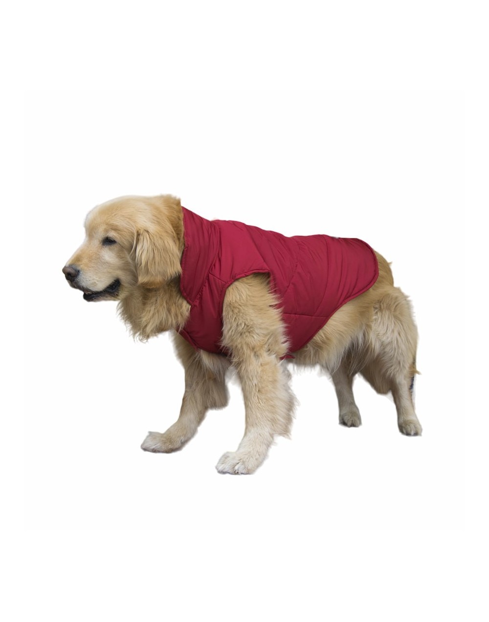 Chalecos para perros grandes