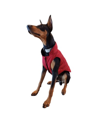 Chalecos para perros grandes