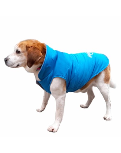Chaleco para perros azul celeste