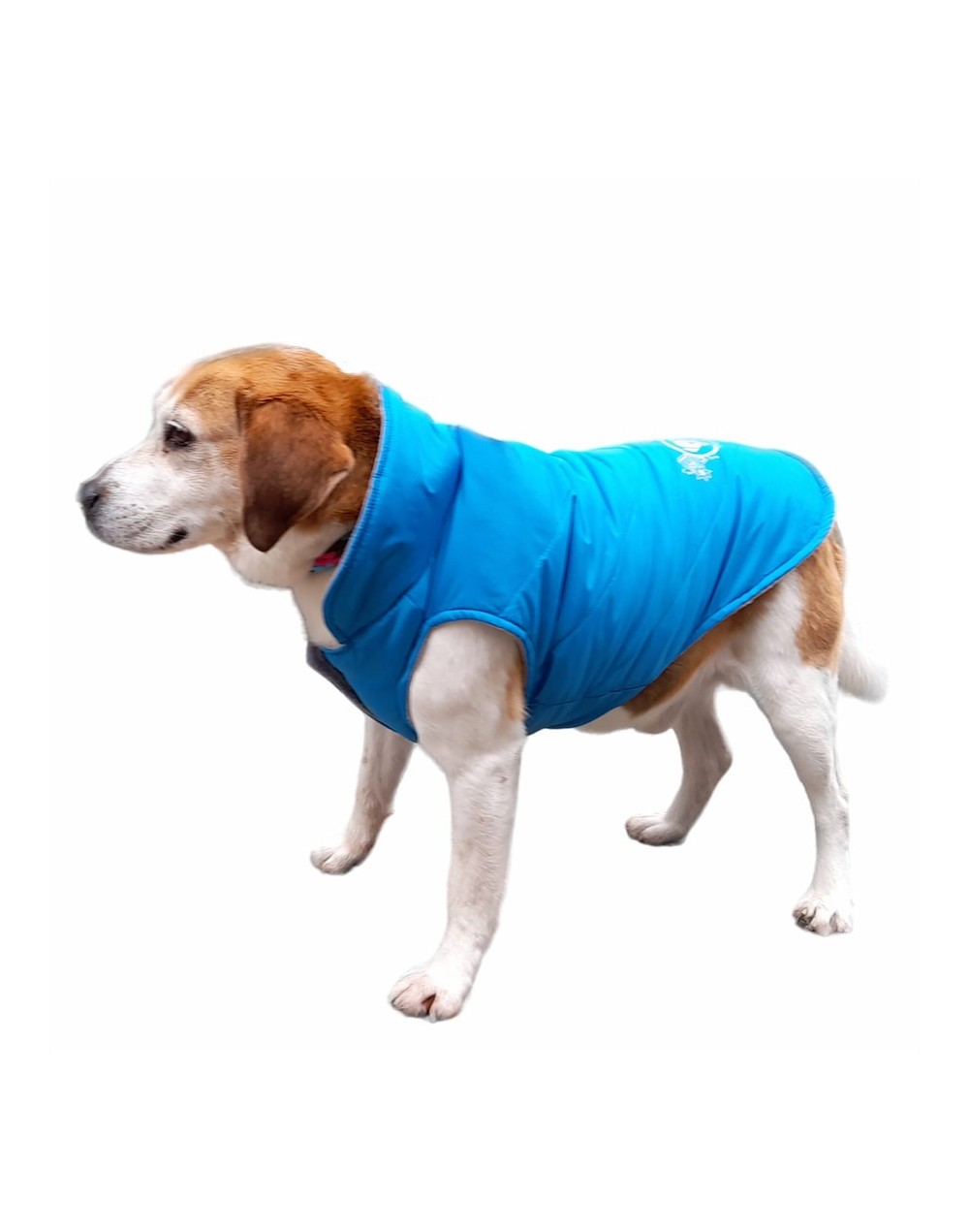 Chaleco para perros azul celeste