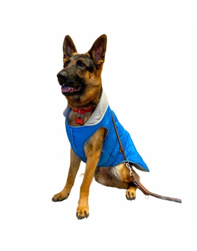 Chaleco para perros azul celeste