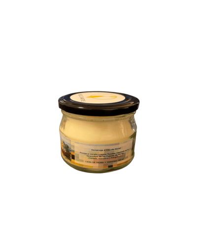 Vela homenaje campos dorados 160 ml fragancia canela manzana y bergamota