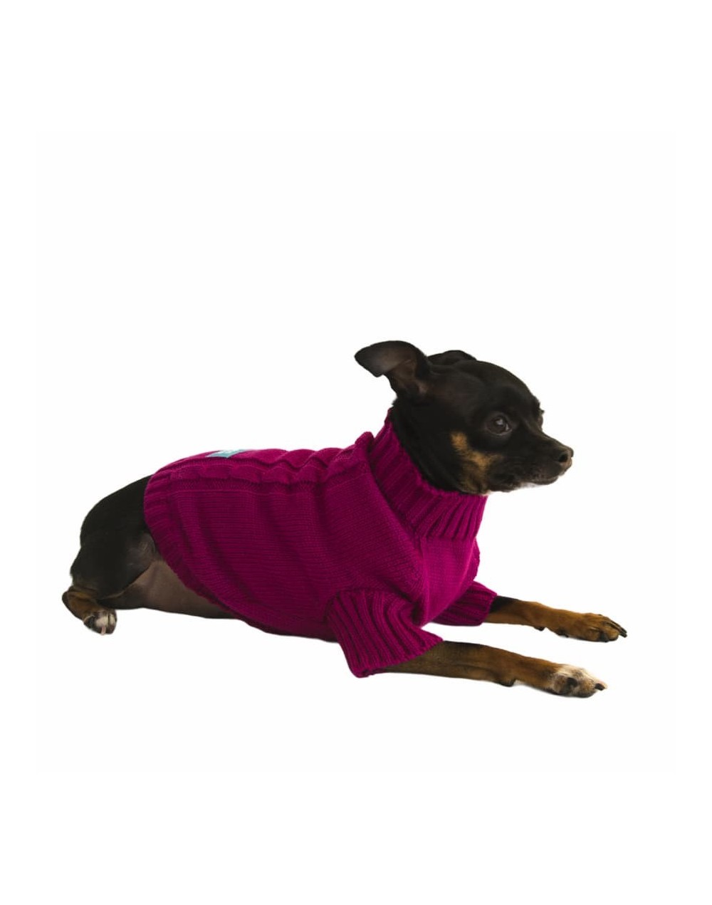Sacos tejidos para perros magenta