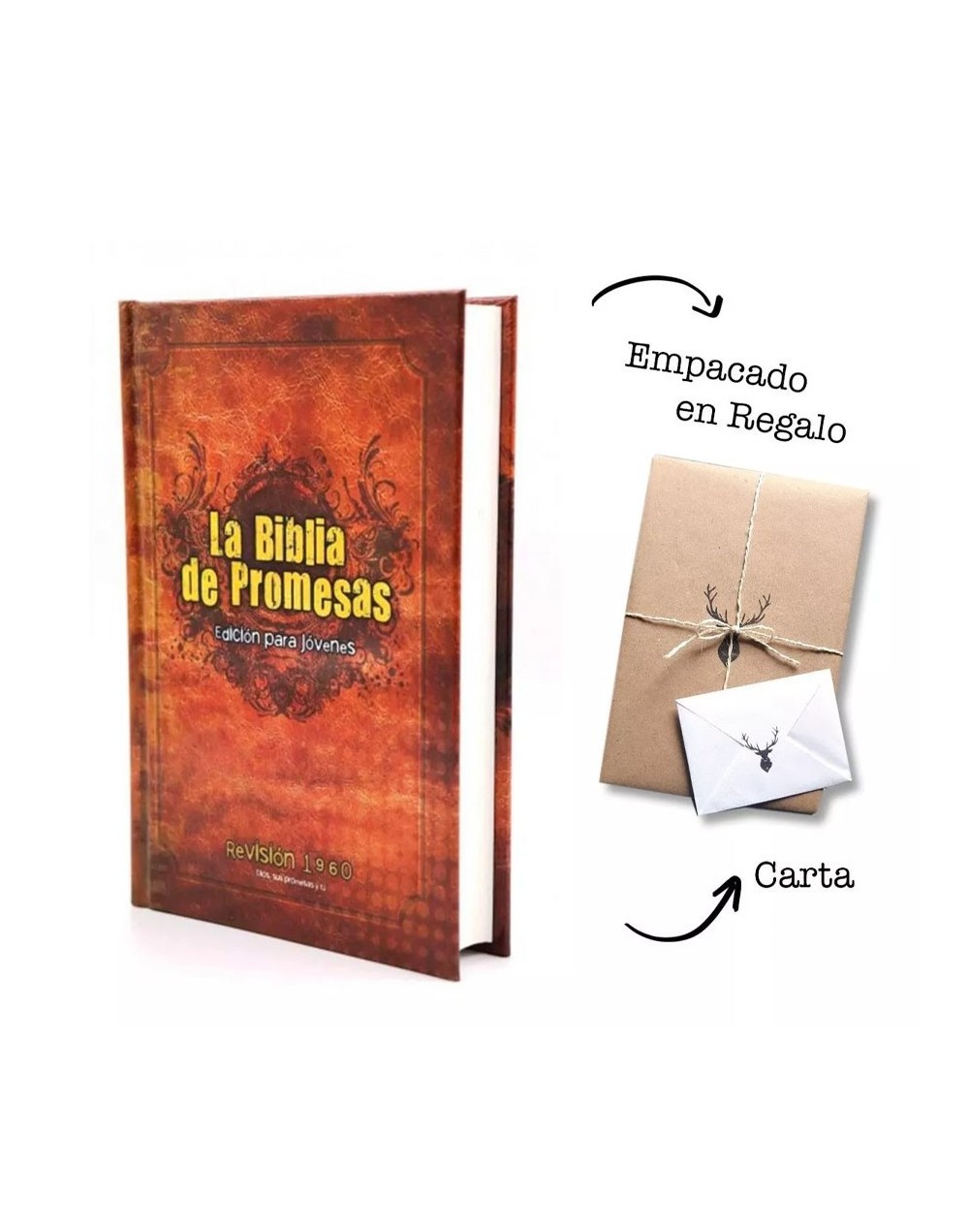 Biblia de promesas edición para jóvenes – hombres rvr 1960