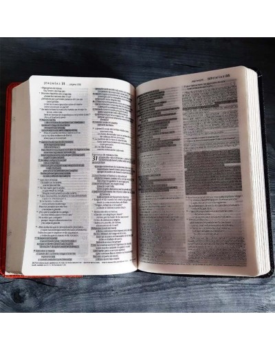 Biblia de promesas edición para jóvenes – hombres rvr 1960