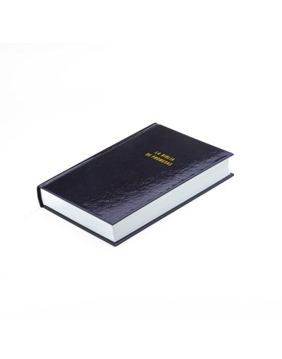 Biblia de promesas nvi tapa dura negra