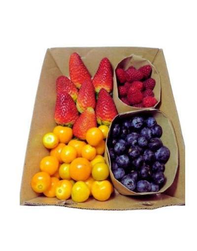 Mix de frutos rojos y amarillos  x 500 gramos