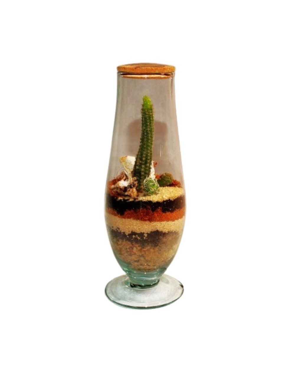 Terrario cerrado  ecosistema fuego