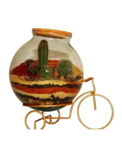 Terrario cerrado  ecosistema bici