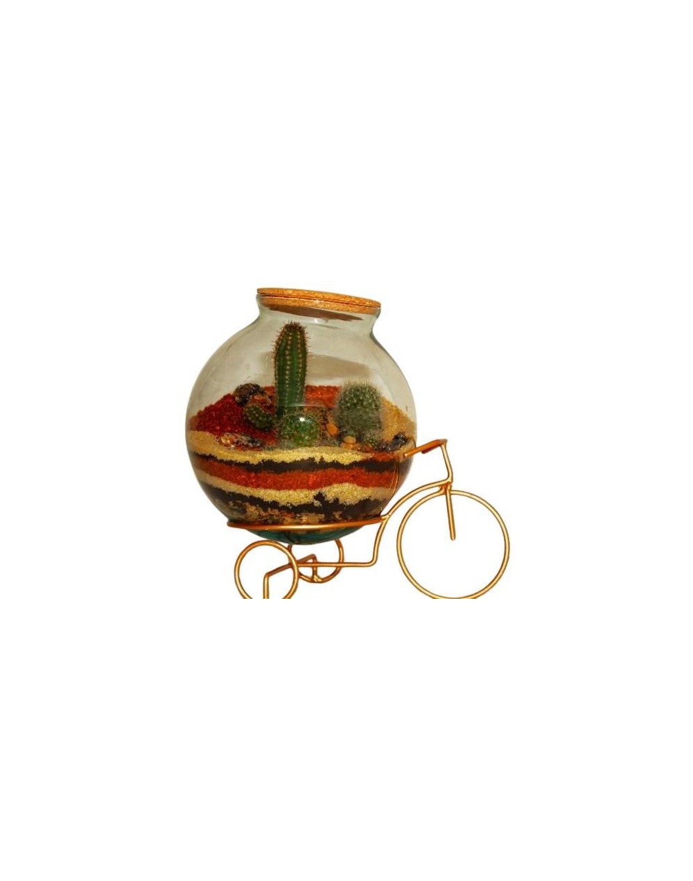 Placa bici xs