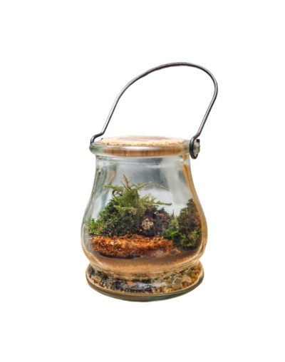 Terrario cerrado ecosistema farol