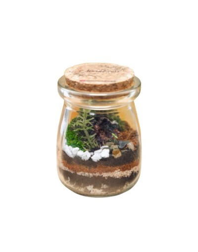Terrario cerrado ecosistema espora
