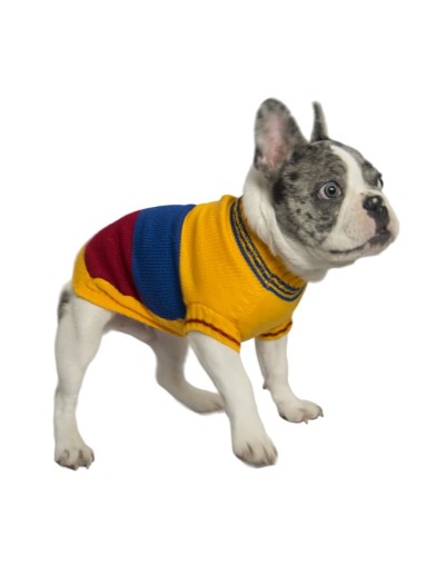 Sueter de colombia para perro