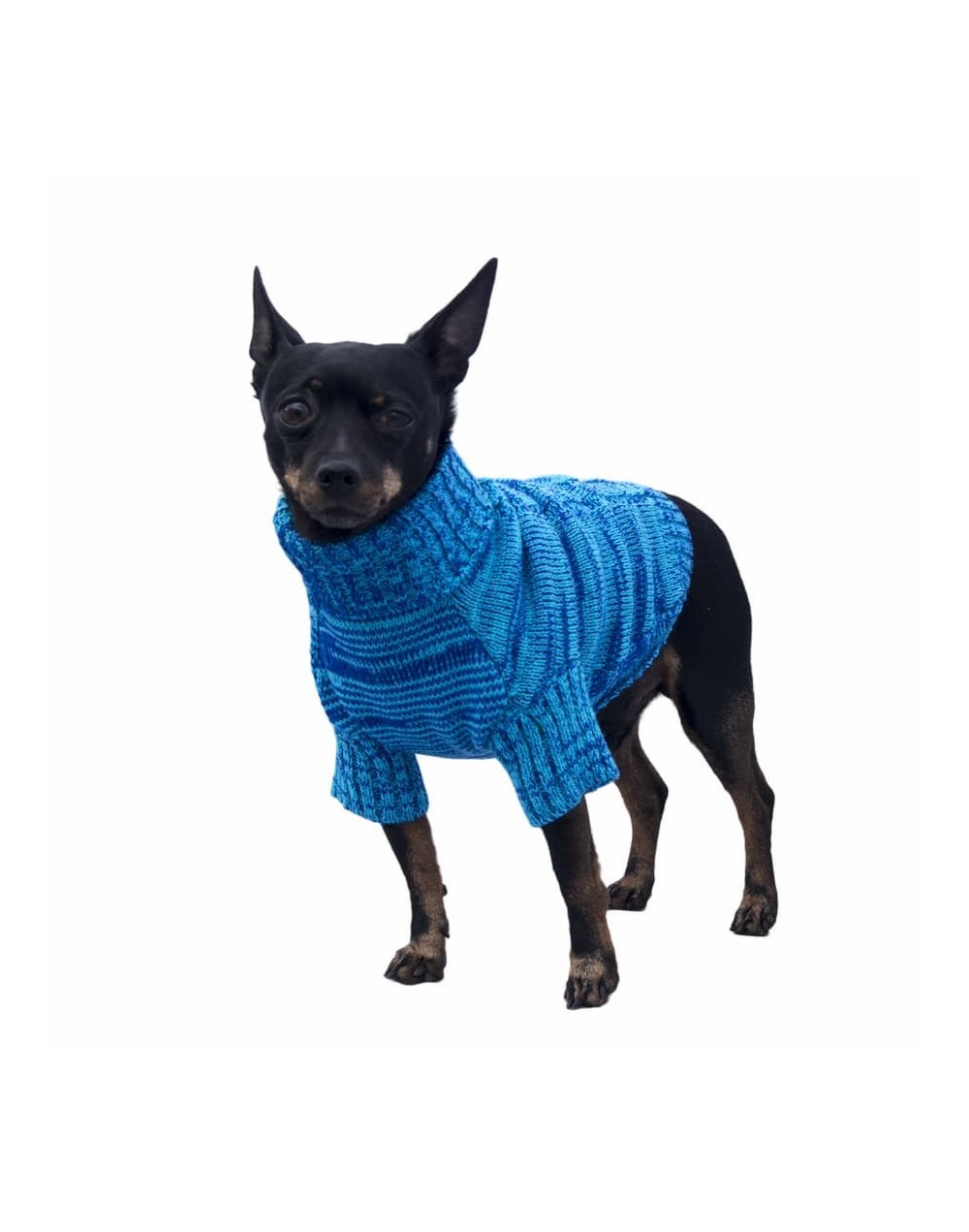 Sueteres para perritos azul 1d