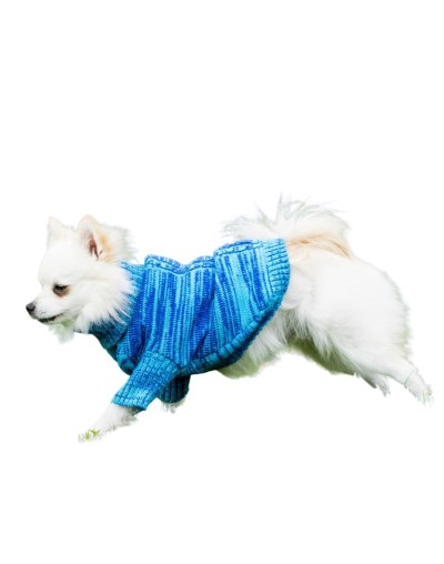 Sueteres para perritos azul 1d