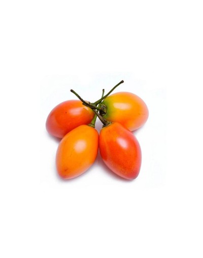 Tomate de árbol
