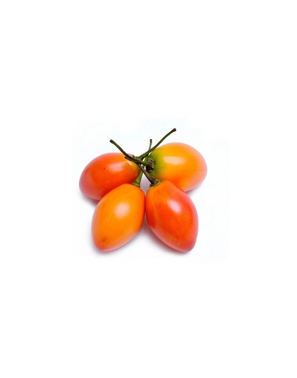 Tomate de árbol