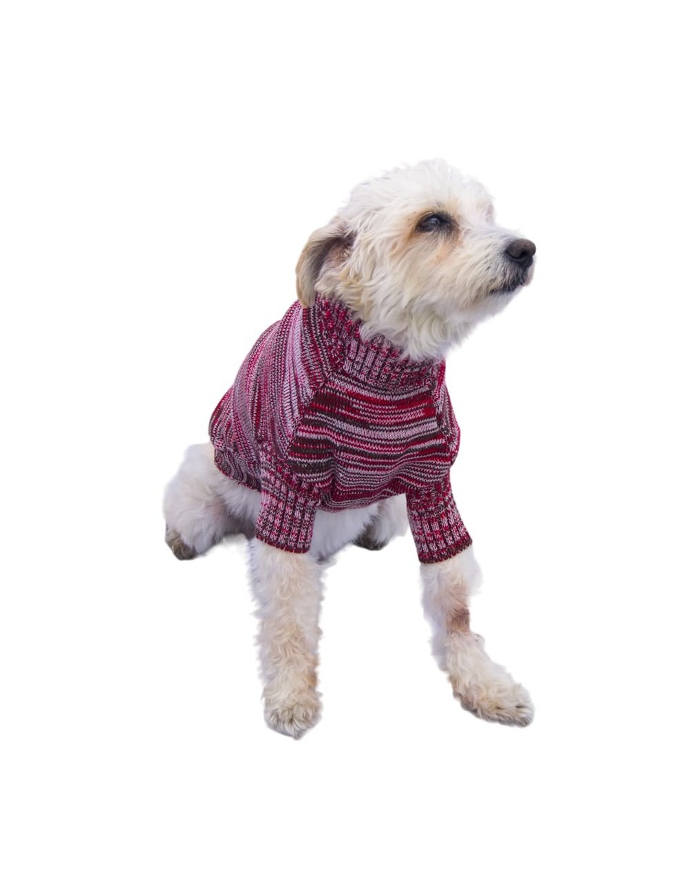 Sueteres para perritos rojo 10d