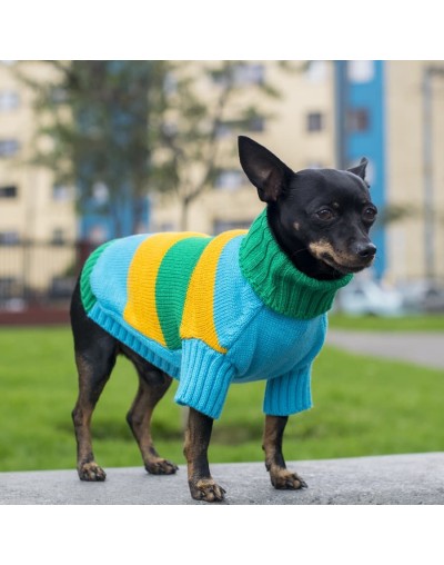 Sueteres para perritos-azul-amarillo-16d