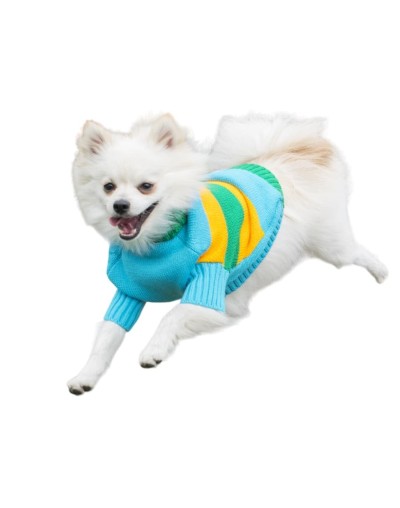 Sueteres para perritos-azul-amarillo-16d