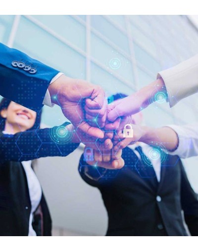 Plan básico coaching ejecutivo