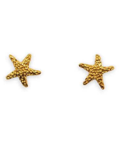 Estrella de mar 