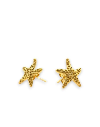 Estrella de mar 