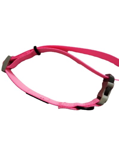 Collar de identificación  personalizado