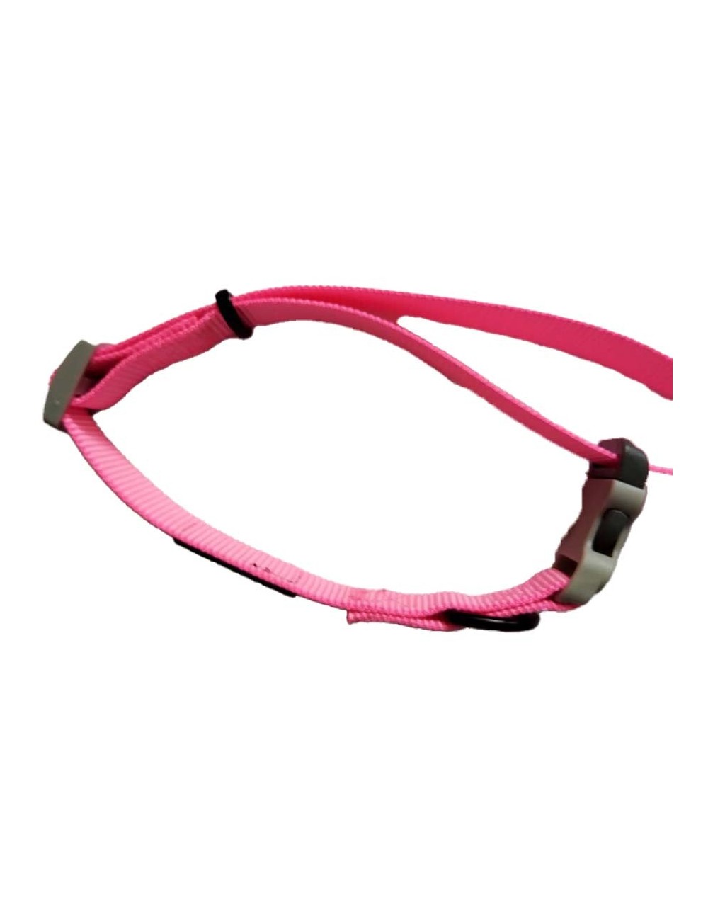 Collar de identificación  personalizado