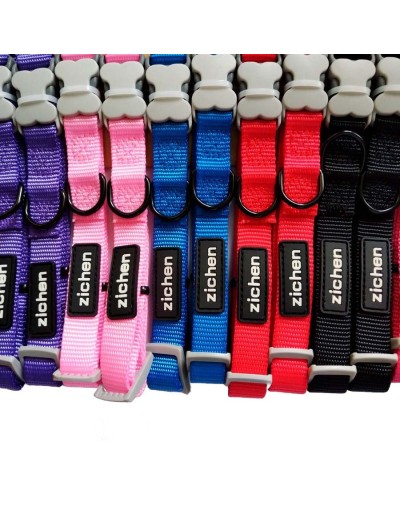 Collar de identificación  personalizado