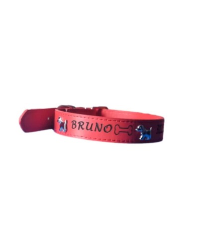 Collar de identificación  personalizado