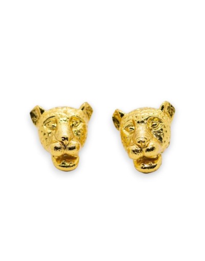 Jaguar nymy