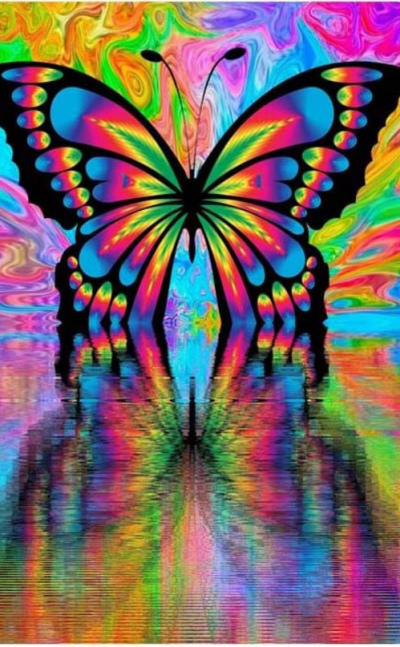 Mariposa Multicolor & Pintar por Números