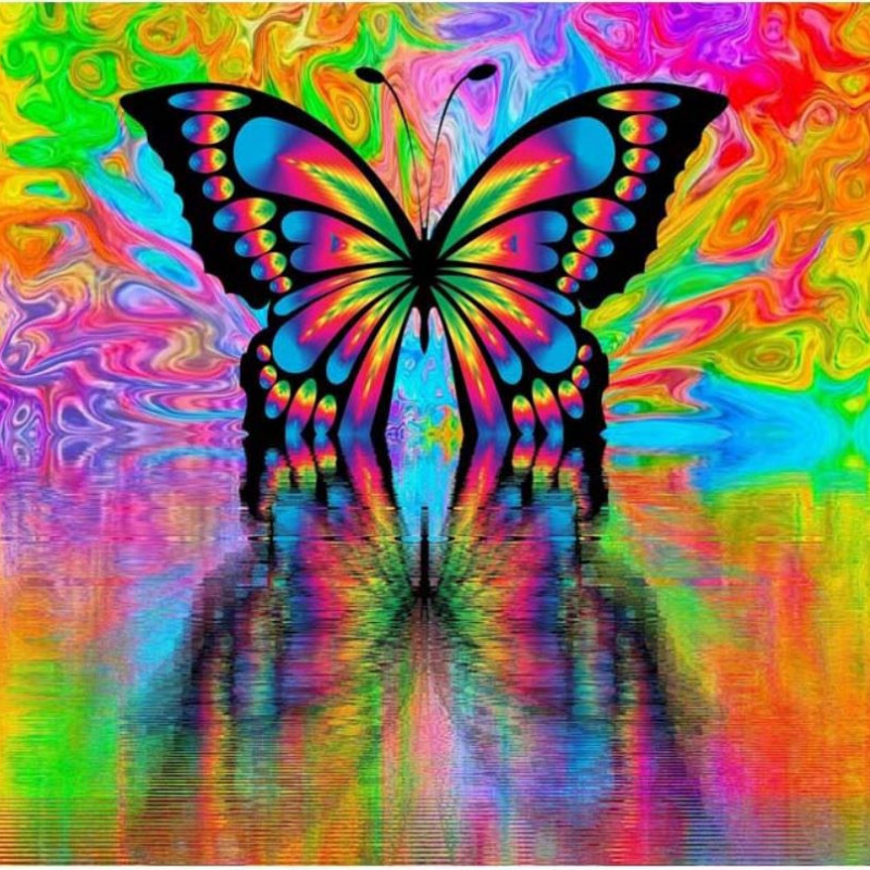Mariposa Multicolor  Pintar por Números