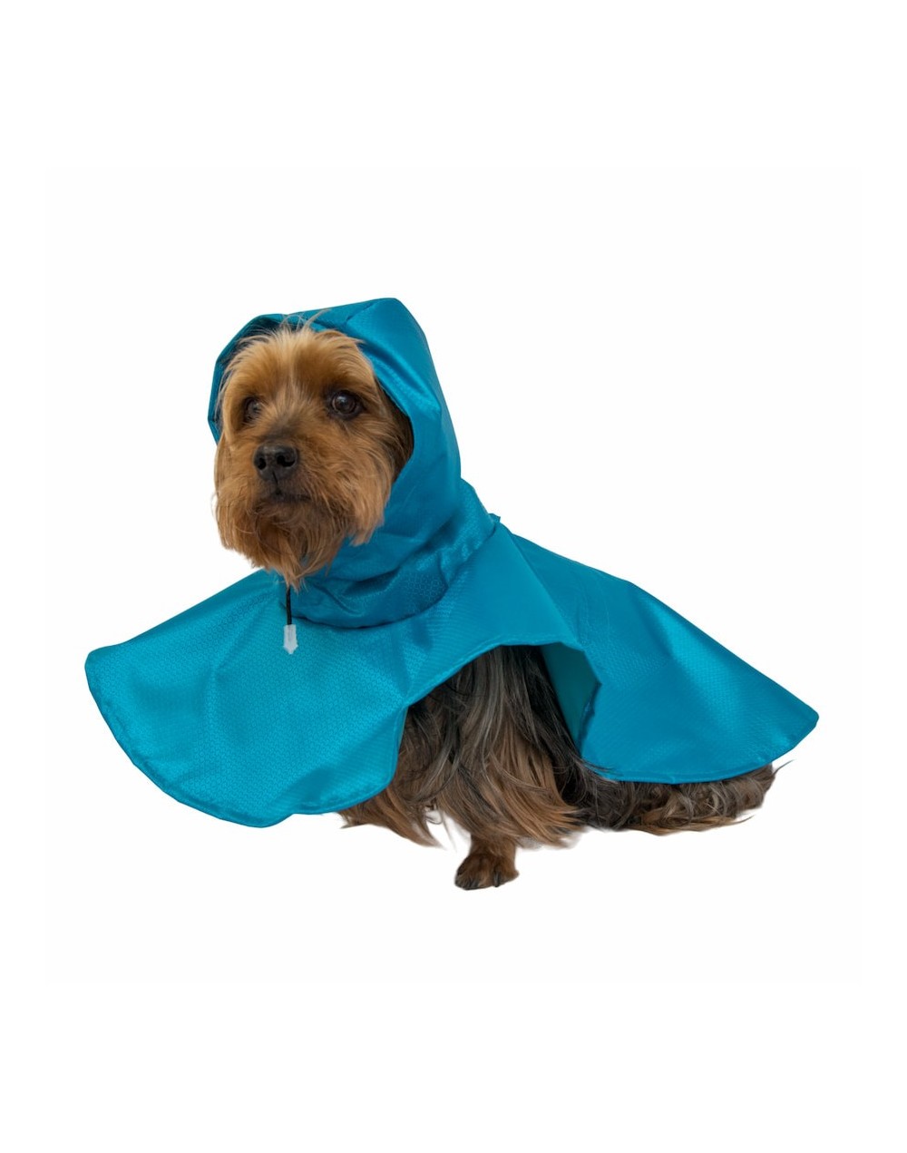 Impermeable para perro-azul celeste