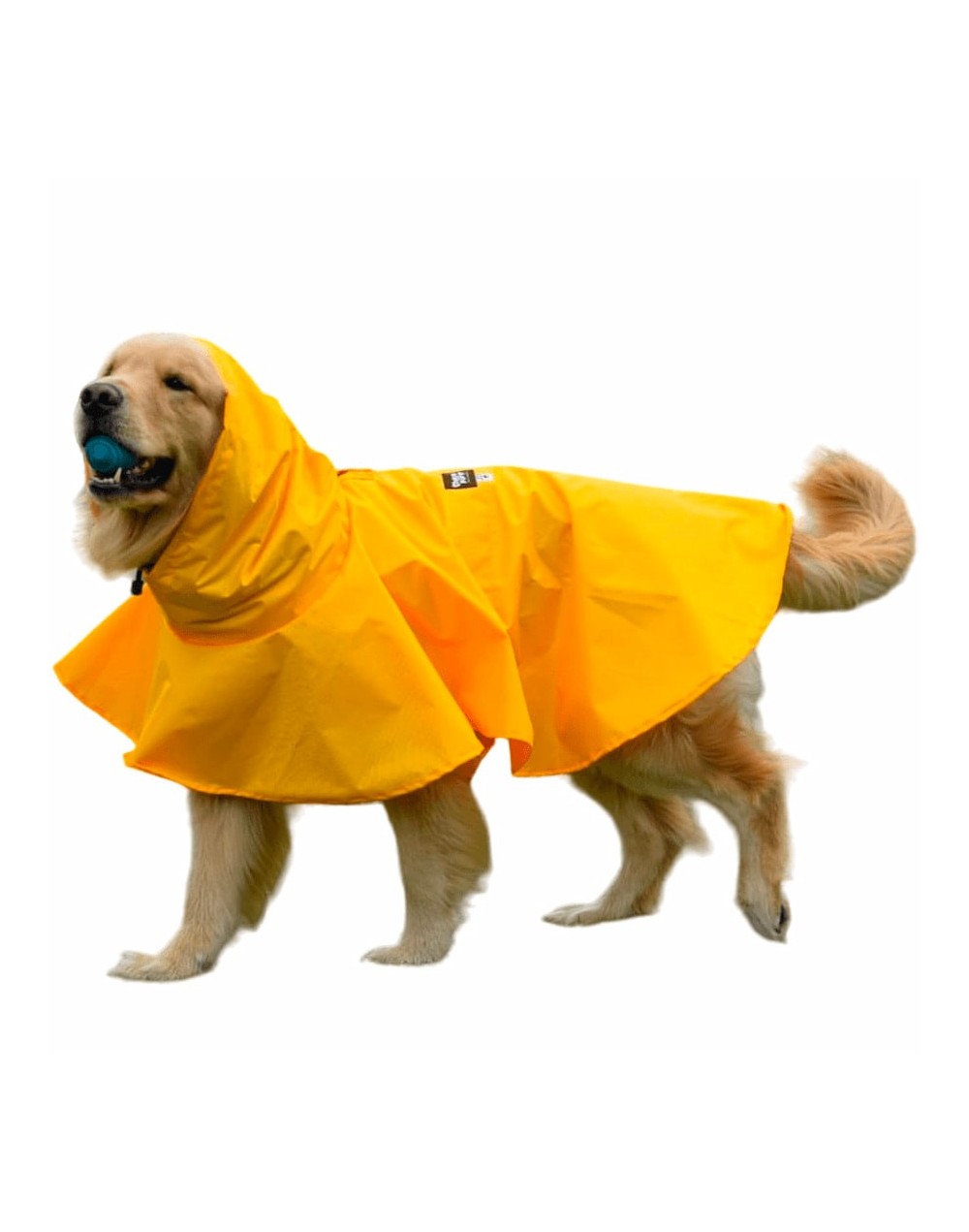 Capa de lluvia para perros