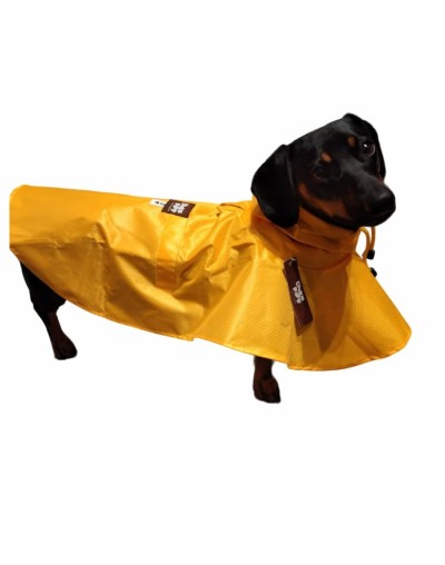 Capa de lluvia para perros