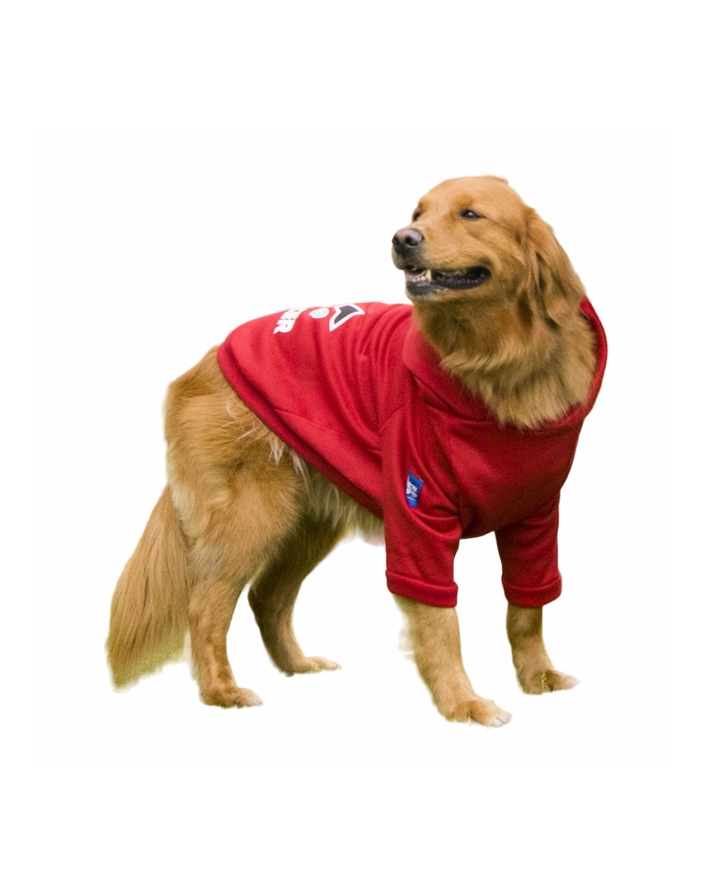 Buzo para perro influencer-rojo
