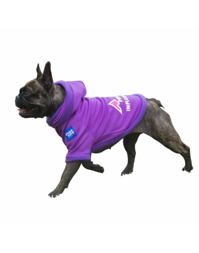 Buzo-para-perro-influencer-morado