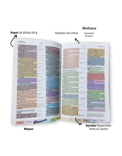 Biblia De Estudio Rvr60 Arcoiris Multicolor Tapa Dura Nueva Presentacion