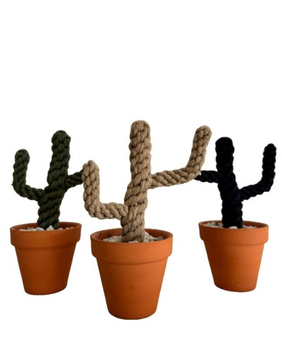 Cactus en macrame