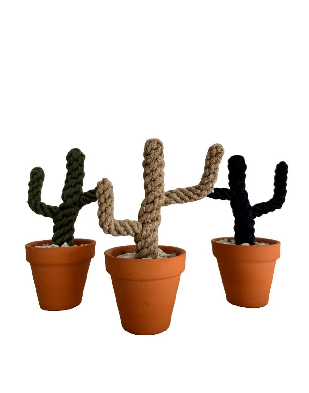 Cactus en macrame