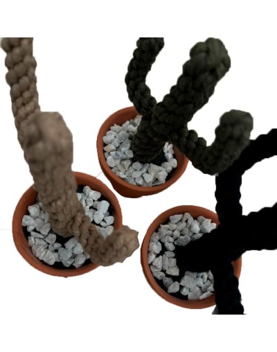 Cactus en macrame