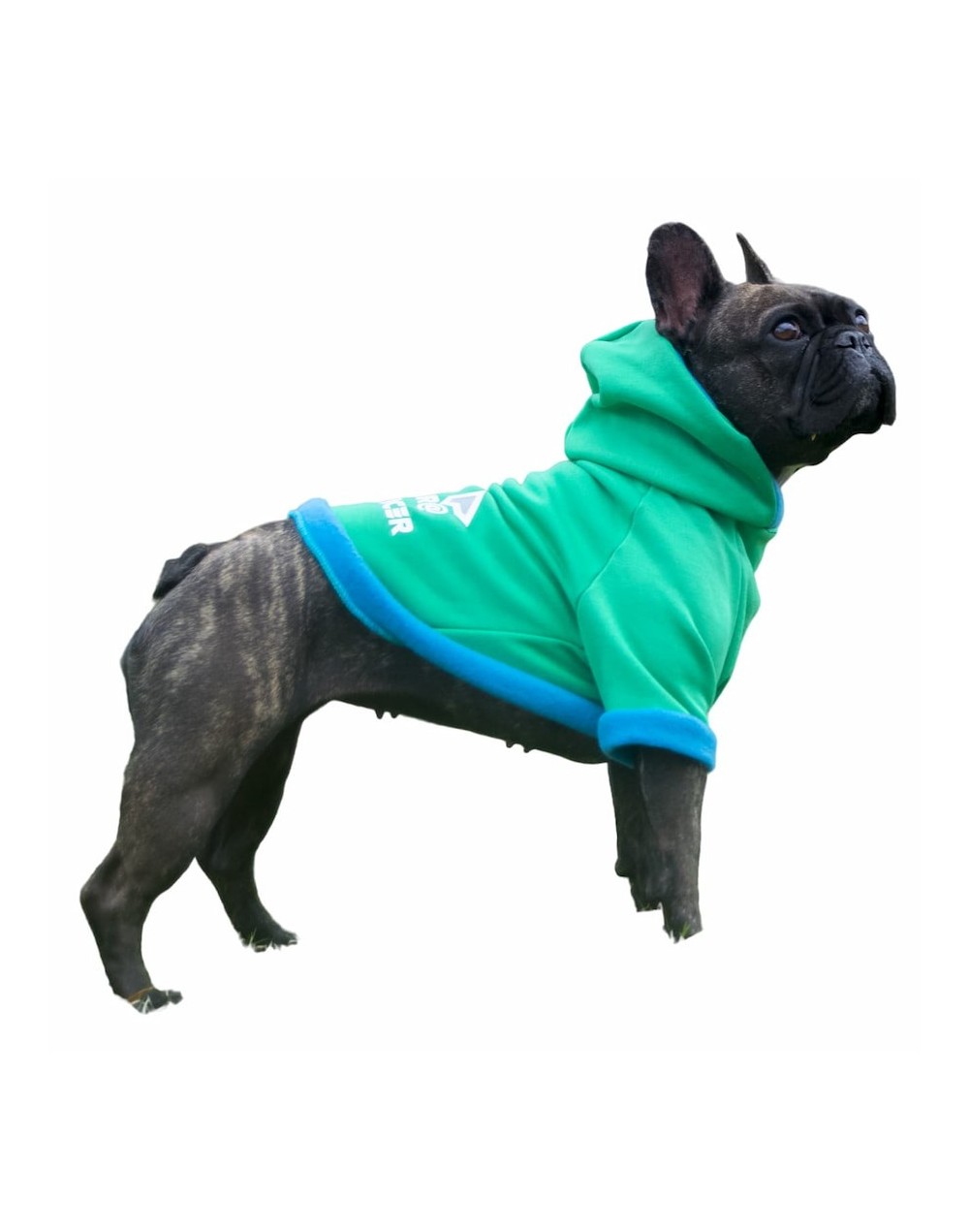 Buzo para perro influencer-verde