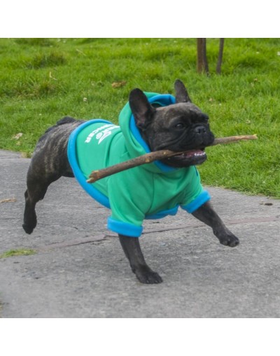 Buzo para perro influencer-verde