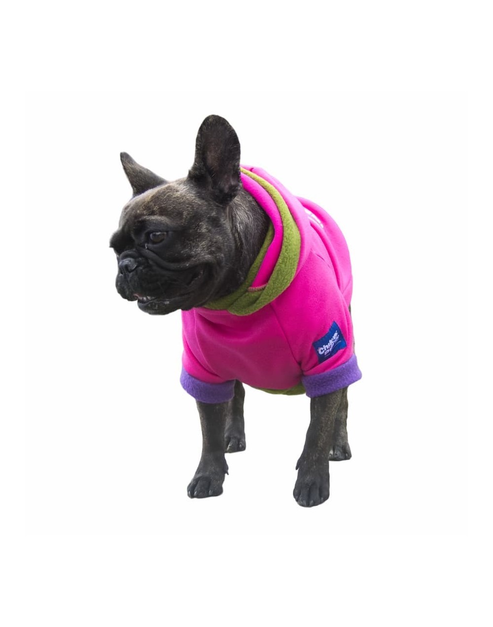 Buzo para perro influencer fucsia