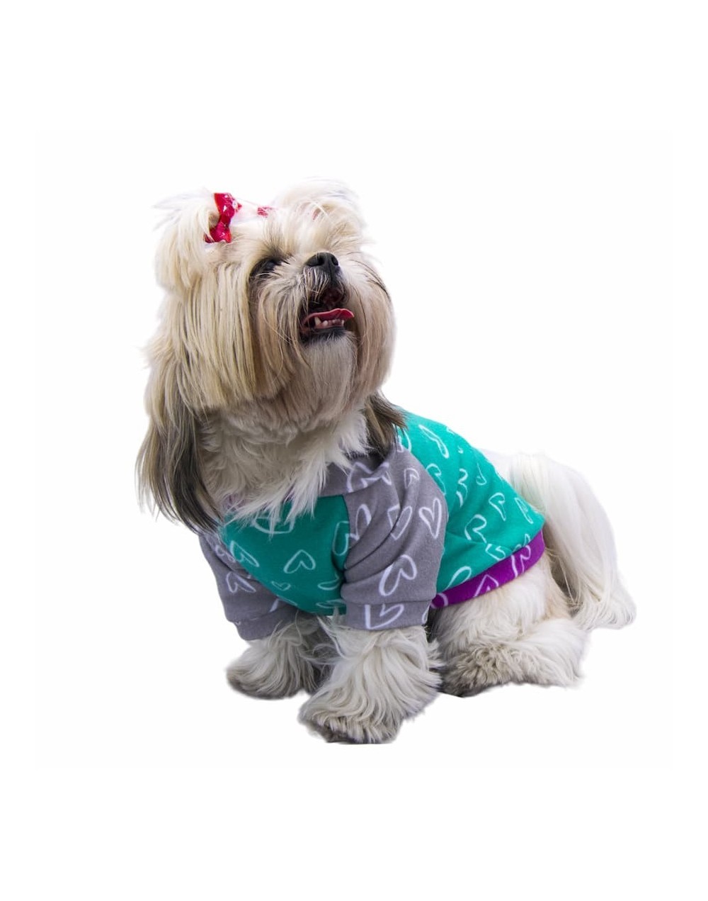 Buzo para perrita mini corazones verde