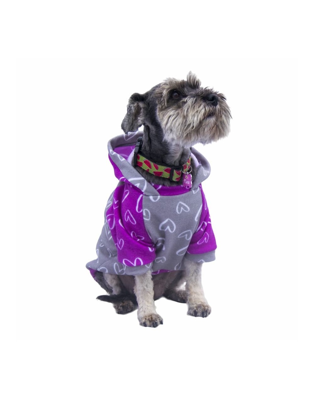Buzo para perrita mini corazones fucsia