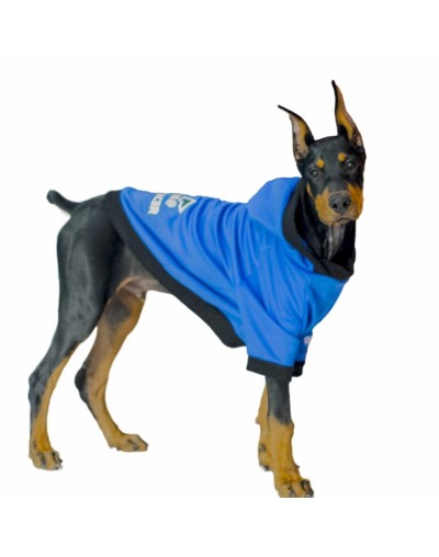 Buzo para perro influencer-azul rey